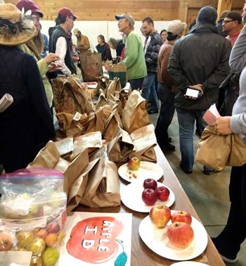 Apple ID at Great Maine Apple Day in 2019