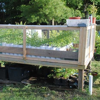 Edgewood Nursery in Falmouth, Maine