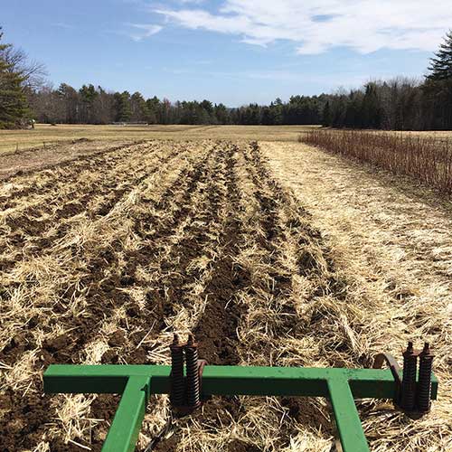 Chisel plowing and incorporating cover crop residue breaks up the compaction caused by years of haying.