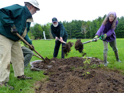 Planting a Chestnut Tree