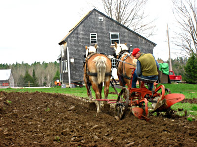 Ken Lamson plowing