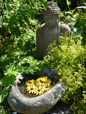 A peaceful scene in Avena's herb garden. English photo.