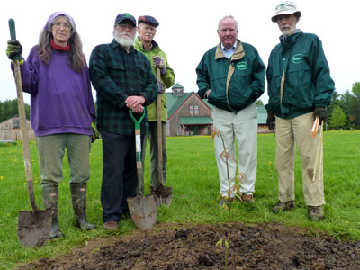 Planting crew