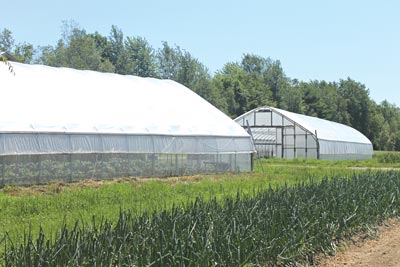 Hoophouses at Songbird Farm