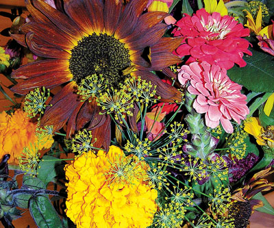 Bouquet at the Fair 