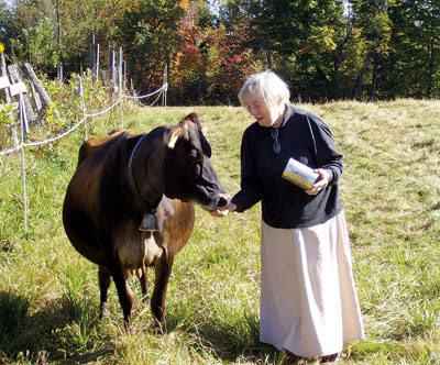 The Jersey Cow: Milk Production for the Small Homestead - Countryside