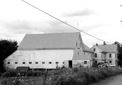 Meadowsweet's farm buildigs