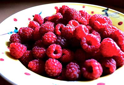 Raspberries. Jean English photo