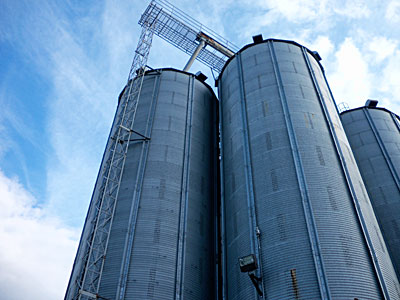 Grain storage tanks