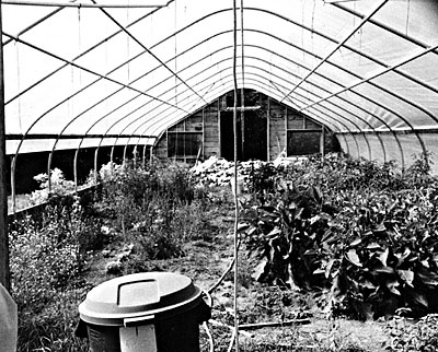 Anniversary Farm hoop house