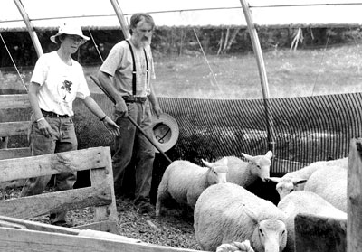 Meadowsweet Farm