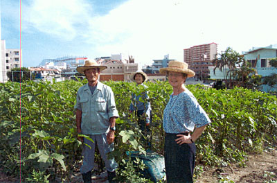 Seikyou farmers in okra field