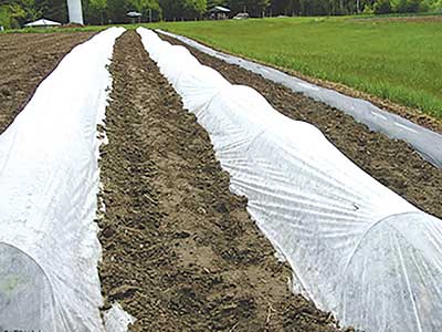 Many agricultural plastics, including some row covers, are difficult or impossible to recycle. Jean English photo