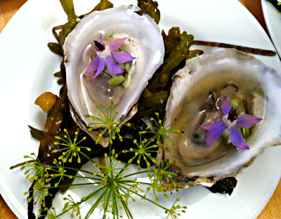 Oysters