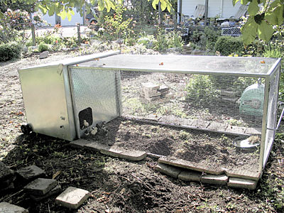 Portable Chicken House