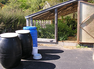 Sun-heated greenhouse