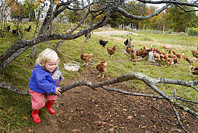 Quill's End Farm in Penobscot