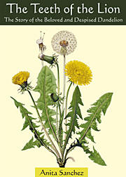 The Teeth of the Lion – The Story of the Beloved and Despised Dandelion by Anita Sanchez