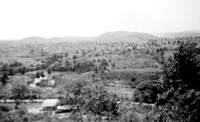 Organic farm in Cuba