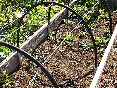 Garden bed hoops