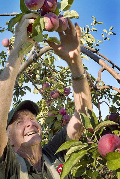 McDougal Orchards