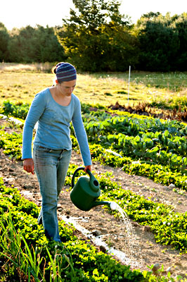 McLeod Wedding Garden