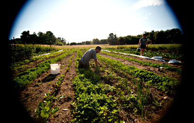 McLeod Wedding Garden