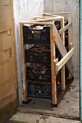 Rack loaded with bulb boxes