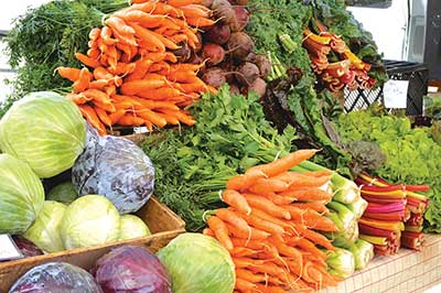 Variety of vegetables. Jean English photo