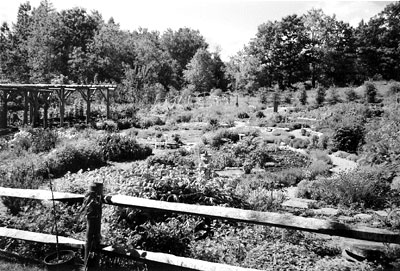 Garden at Avena