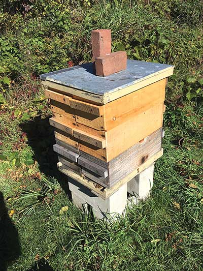 A two-queen, side-by-side beehive