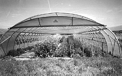 Hoop Houses