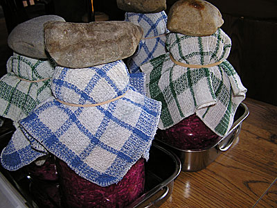 Rocks on sauerkraut jars