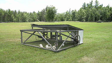 Belding Chicken Tractor