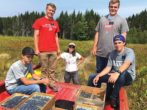 Regina Grabrovac and four young missionary volunteers from the Church of the Latter Day Saints harvest blueberries.