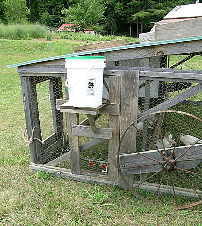 Belding Chicken Tractor 2