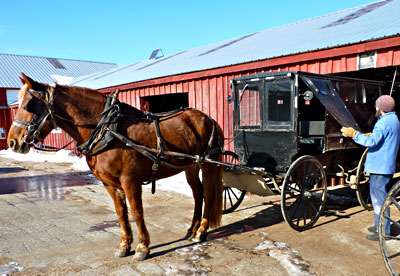 Kenneth Copp prepares the carriage