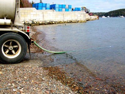 Pumping sea water at Bucks Harbor