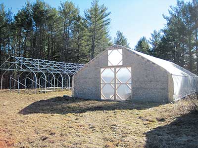 David McDaniel's third high tunnel