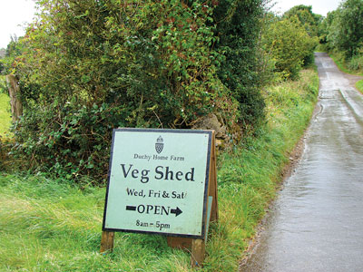 Veg Shed sign