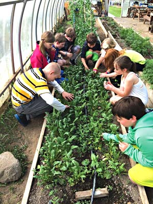 Walker School Model Garden Program