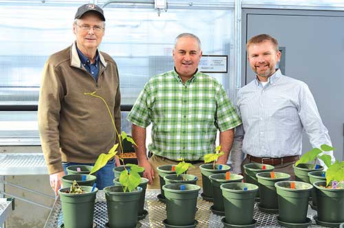 Making things grow at UMPI: from the left, Jim Dwyer, the Dr. Robert Vinton Akeley Chair of the Agricultural Science and Agribusiness program; Jason Johnston, dean of the College of Arts and Sciences (and co-owner of MOFGA-certified organic Aroostook Hops); and Noah Winslow, adjunct instructor of agricultural economics and agribusiness.