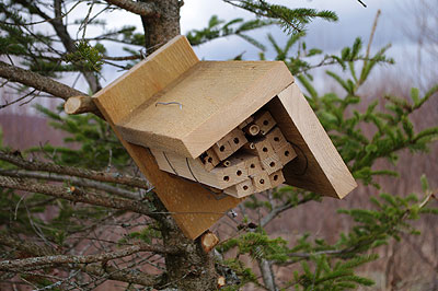 One of 18 hand-built, native bee nesting boxes installed at Twitchell Hill Blueberries