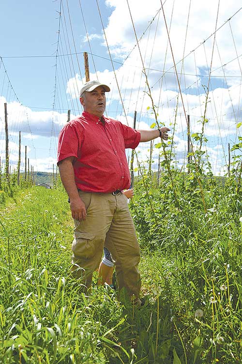 Jason Johnston on his Aroostook Hops farm.