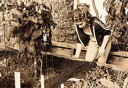 Planting Beets