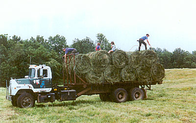 Clovercrest Farm hay