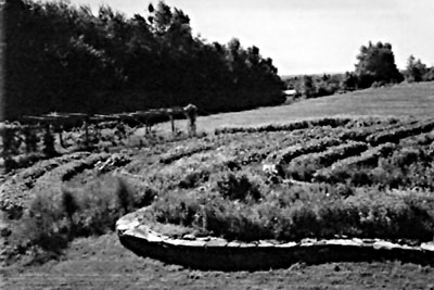 Curved beds at Ocean Glimpse Farm