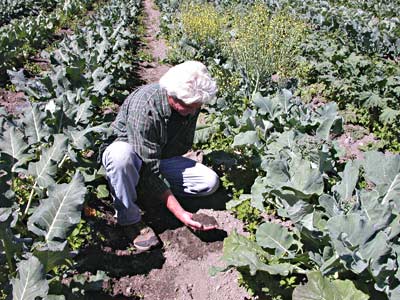 Eric Sideman appreciates the soil on an organic farm