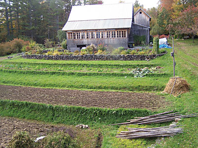 Terracing may not be suitable on these extremely steep slopes