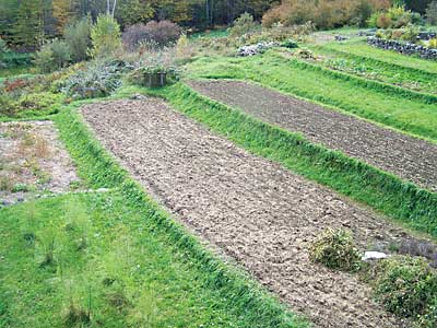 Khadighar Farm: The last terrace is split in two crosswise, with a cross-lynchet to separate the levels.